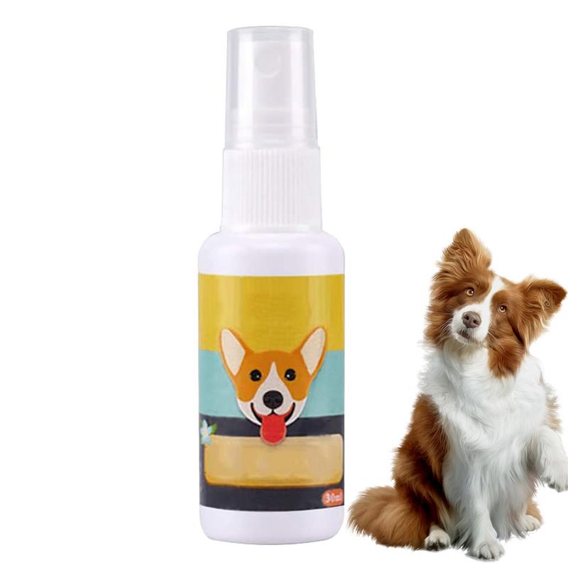 Travel Accessories In Train - Portátil Dog Potty Training Aid, Pet