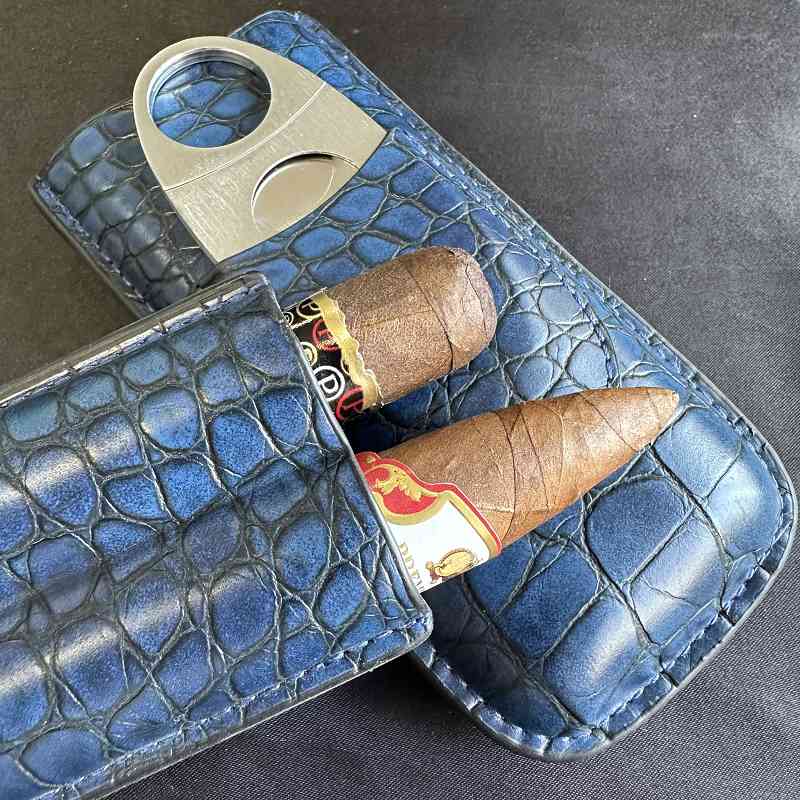 Tubo de charuto 2 slots caso c - Travel Accessories Youtube avaliação e preço
