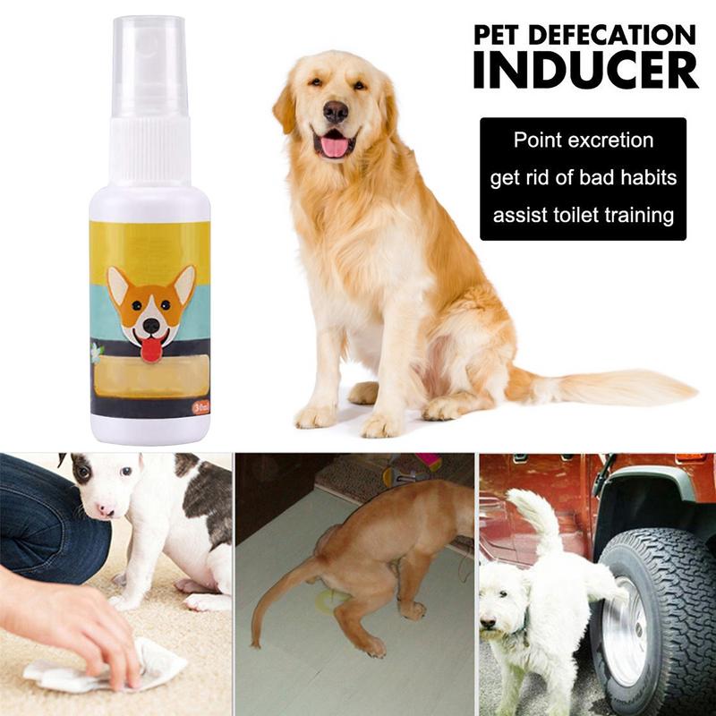 Portátil Dog Potty Training Ai - Travel Accessories In Train avaliação e preço
