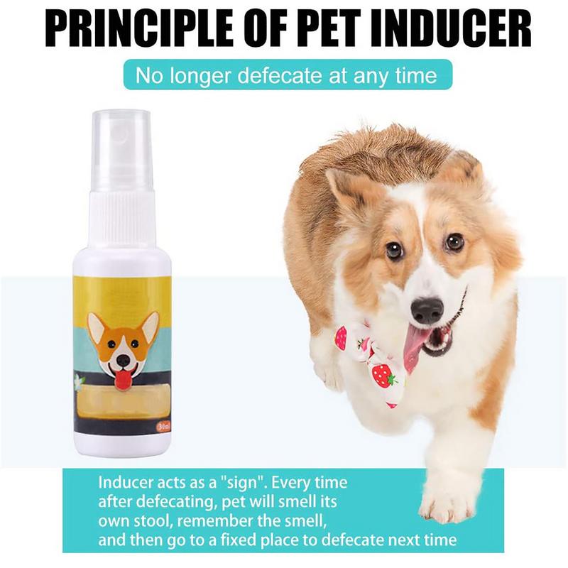 Portátil Dog Potty Training Ai - Travel Accessories In Train avaliação e preço